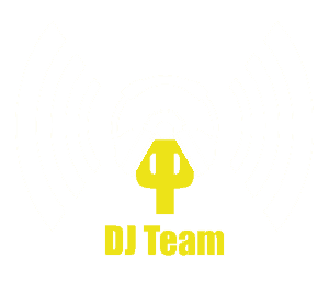 PartyProject - DJ Team Logo