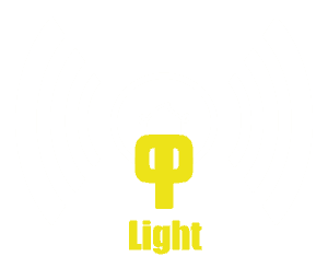 PartyProject - Light Logo